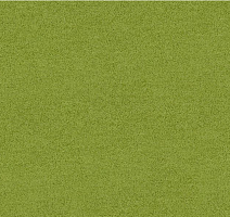 Ковровая плитка Interface Polichrome Solid 4266012 Peridot фото 1 | FLOORDEALER